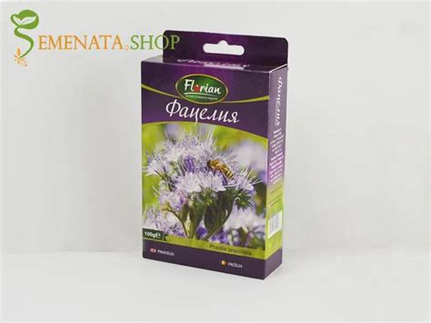 Phacelia tanacetifolia (Phacelia tanacetifolia) - varietal seeds with unique honey qualities ...