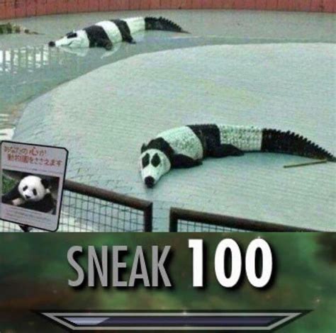 These Are Some Cool Pandas : r/memes