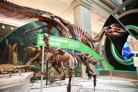 Dinosaurs come to life in the Museum of Natural History's new hall of ...