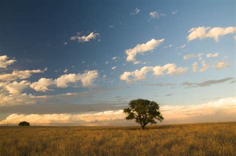 Pampas Landscape, La Pampa, Stock Image - Image of atmosphere, province ...