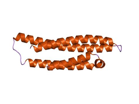 Apolipoproteins E; Apo-E