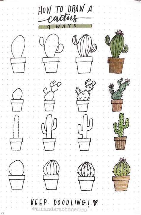 Easy Step By Step Succulent Drawing | Types Of Succulent Plant