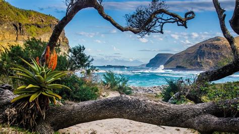 Nature around The Hole in the Wall at Coffee Bay in the Wild Coast, South Africa | Windows 10 ...