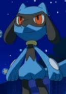 Riolu | Anime-Planet