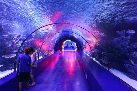 Antalya Aquarium & Gold Centre Visit with Old Town Tour | musement