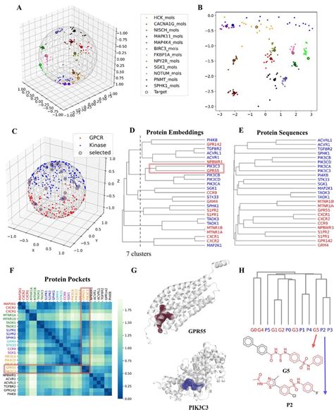 Visualization of embeddings. (A) Visualization of the embeddings of 12 ...