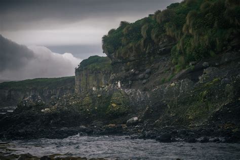 The raw and wild power of the remote Auckland Islands - Young Adventuress