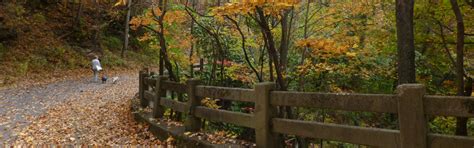 Point Lookout Trail: Old Fort NC 28762 | Local Trip Information