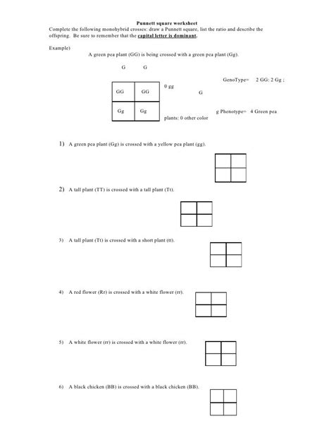 Blood Type Punnett Squares Worksheets