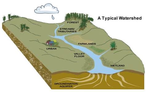 watershed diagram | California Trout