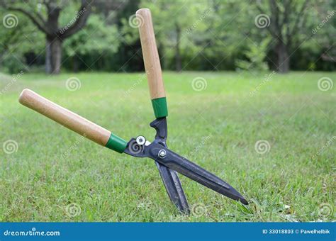 Cutting Grass with Scissors Stock Image - Image of shear, gardening: 33018803