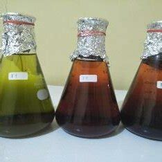 maceration process of sample. | Download Scientific Diagram