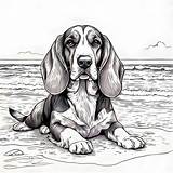 16 Best Basset Hound Coloring Pages Free Printable PDFs sketch template