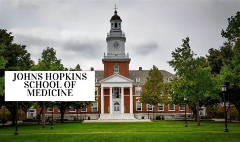 Summer Internship at Johns Hopkins School of Medicine - 2022 2023 Big Internships