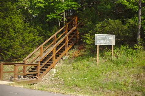 Hobbs State Park, AR | Danielle Huddleston Photography