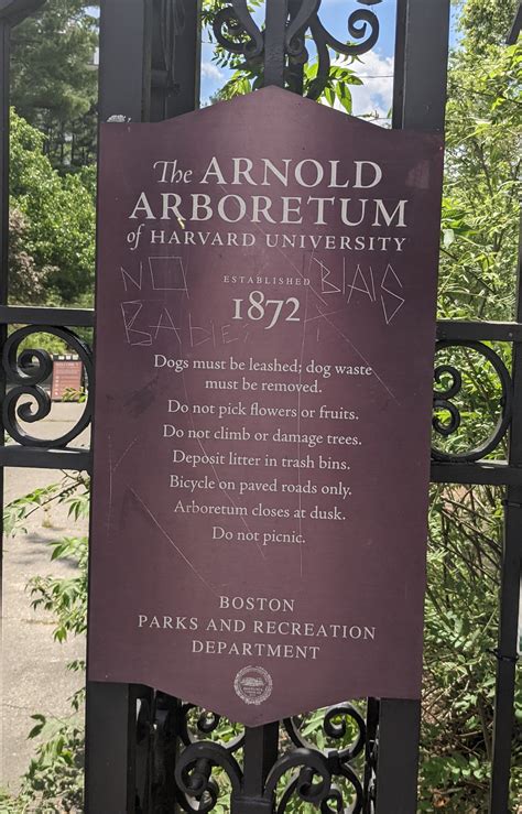 Lilacs at the Arnold Arboretum in Boston – Beyond The Miles Travel Blog