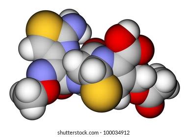 33 Cefotaxime drug Images, Stock Photos & Vectors | Shutterstock