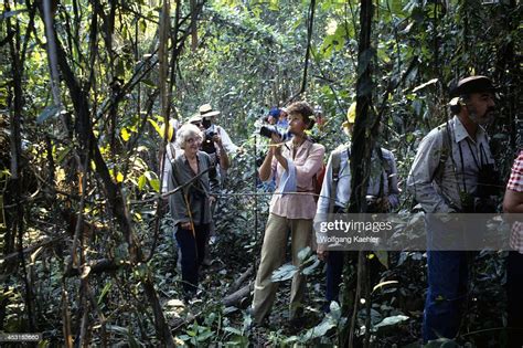 The Dangers Of The Amazon Forest – travelweeksaopaulo.com