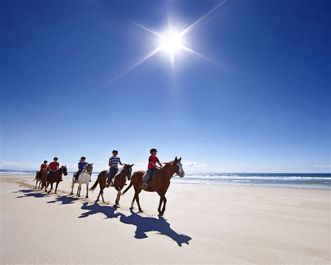 The Best Beaches In Auckland | URBAN LIST NEW ZEALAND