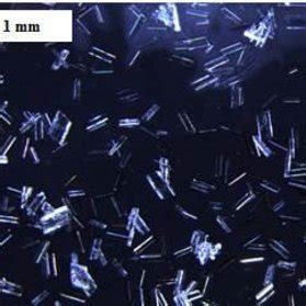 The effect of initial supersaturation on gypsum morphology. Crystals... | Download Scientific ...