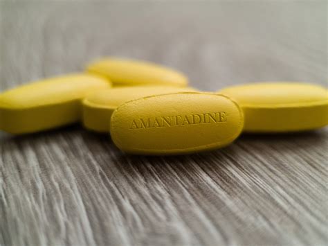 Amantadine for Dogs: Our Vet Explains the Dosage, Pain Management ...