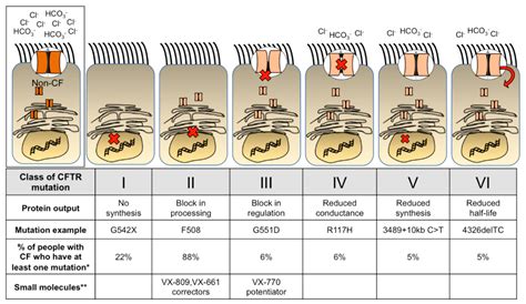 Genes | Free Full-Text | Cystic Fibrosis Gene Therapy: Looking Back, Looking Forward