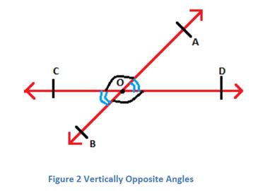 what are verticaly opposite angles - Maths - Lines and Angles - 24678 ...