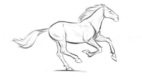 How to Draw Horses Course - The Art of Aaron Blaise