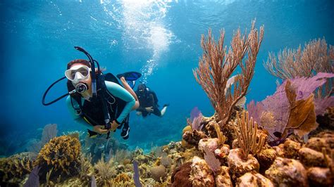 Padi duikcursus - Discovery Diving