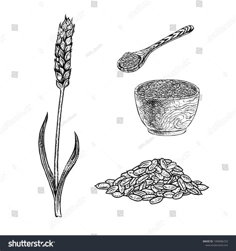 13,298 White porridge Stock Illustrations, Images & Vectors | Shutterstock