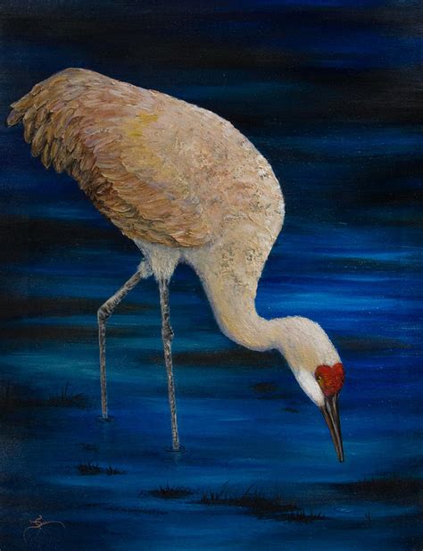 Sandhill Crane Painting by Dee Carpenter - Fine Art America