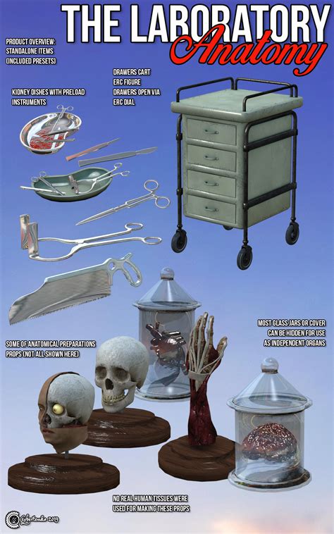 The Laboratory - Anatomy 3D Models Cybertenko