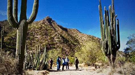 ¿Qué es el desierto de Sonora?