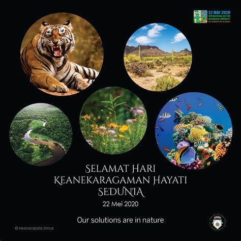 Keanekaragaman Hayati Indonesia – Ujian