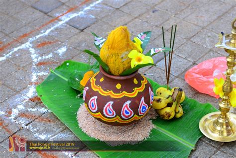 Discover more than 134 thai pongal decorations latest - seven.edu.vn