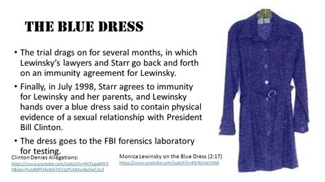 Monica Lewinsky Dress with Stain - Buy and Slay