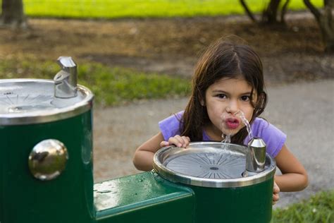 Many Canadian Homes, Schools and Daycares have dangerous lead-tainted ...