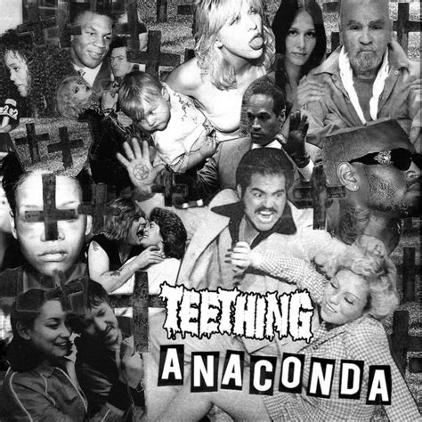 Anaconda - 3" | Teething