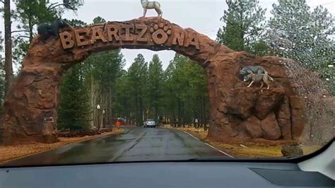 Bearizona Wildlife Park - YouTube