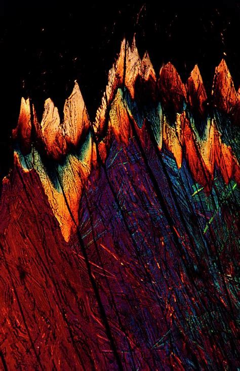 Picric Acid Crystals Photograph by Stephen A. Skirius/science Photo Library