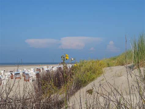 Premium Photo | Spiekeroog beach