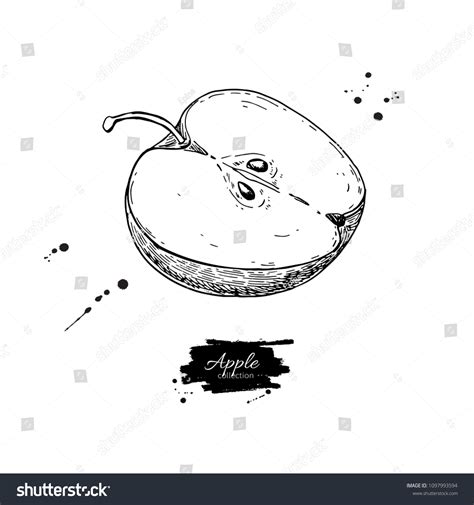 Apple Slice Drawing Hand Drawn Isolated Stock Illustration 1097993594 ...