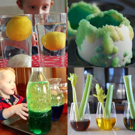 Science Fair Projects For Kids - All You Need Infos