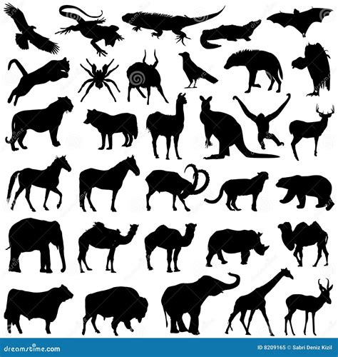 Wild animals set stock vector. Illustration of silhouette - 8209165