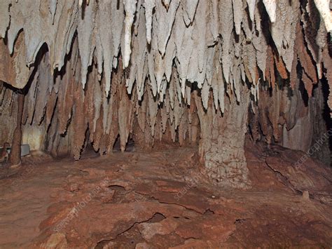 Crystal Caves in Grand Cayman - Stock Image - C036/2031 - Science Photo ...