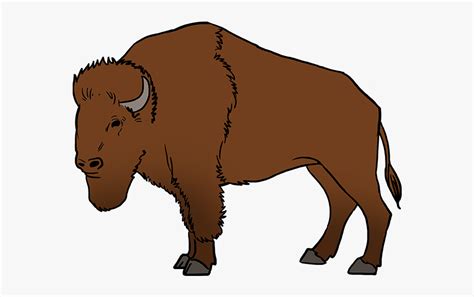 How To Draw Buffalo - Easy How To Draw A Buffalo , Free Transparent ...