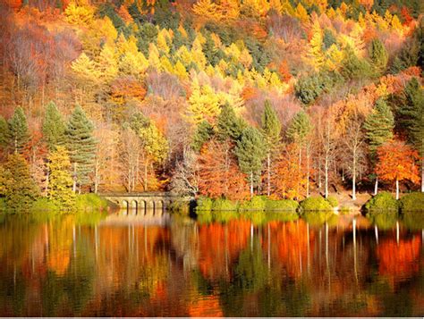 Top 5 Autumn Photography Ideas