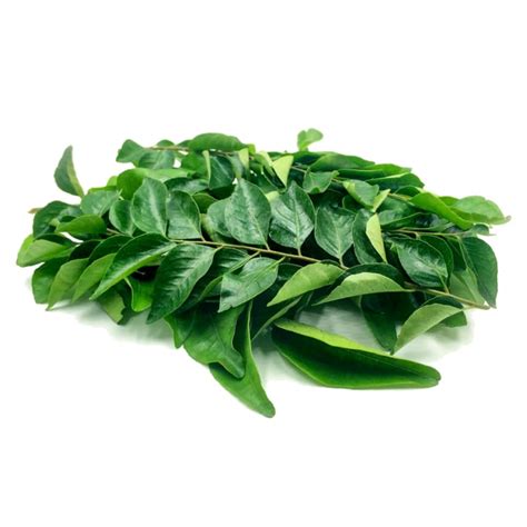 Curry Leaves - Masala Mart