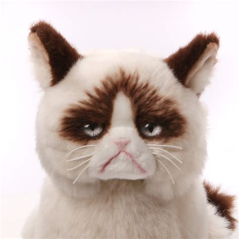 Buy Grumpy Cat Plush at Mighty Ape NZ