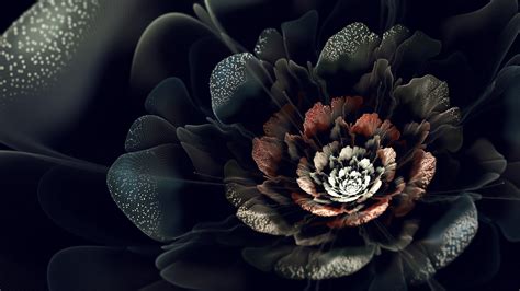 Black Rose Wallpaper HD Free Download